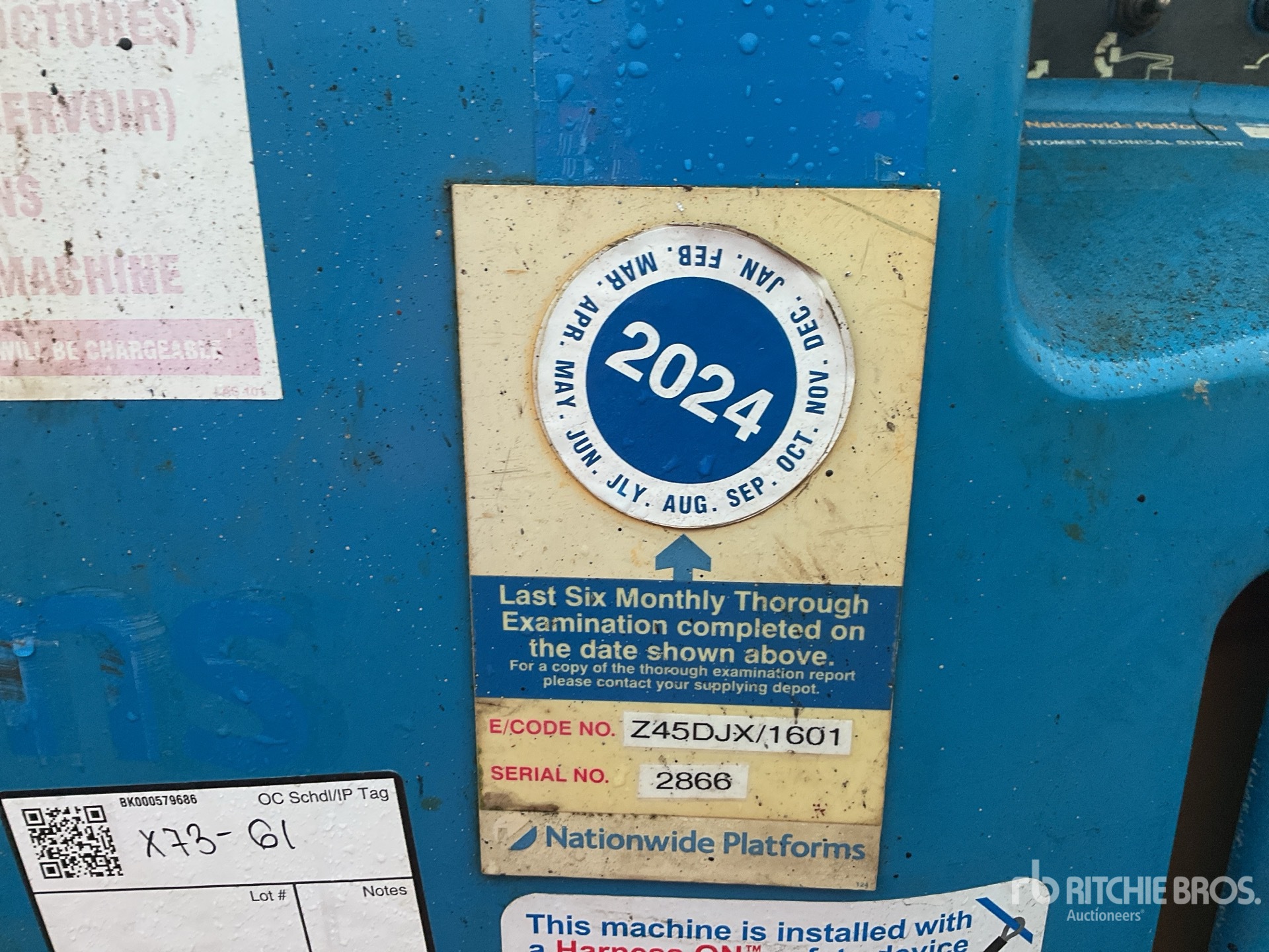 General Appearance with