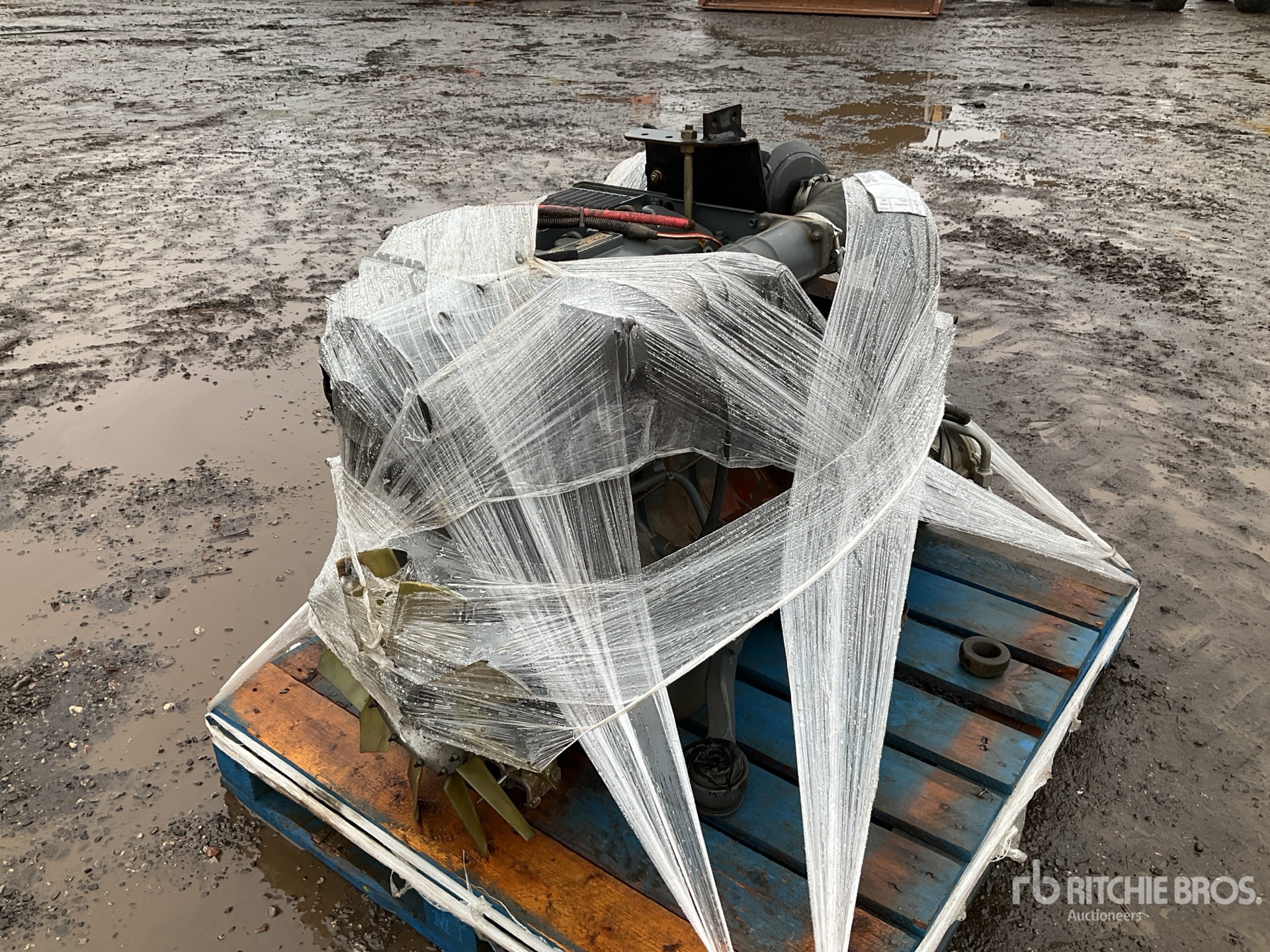 General Appearance with Bild, Ecke vorne links