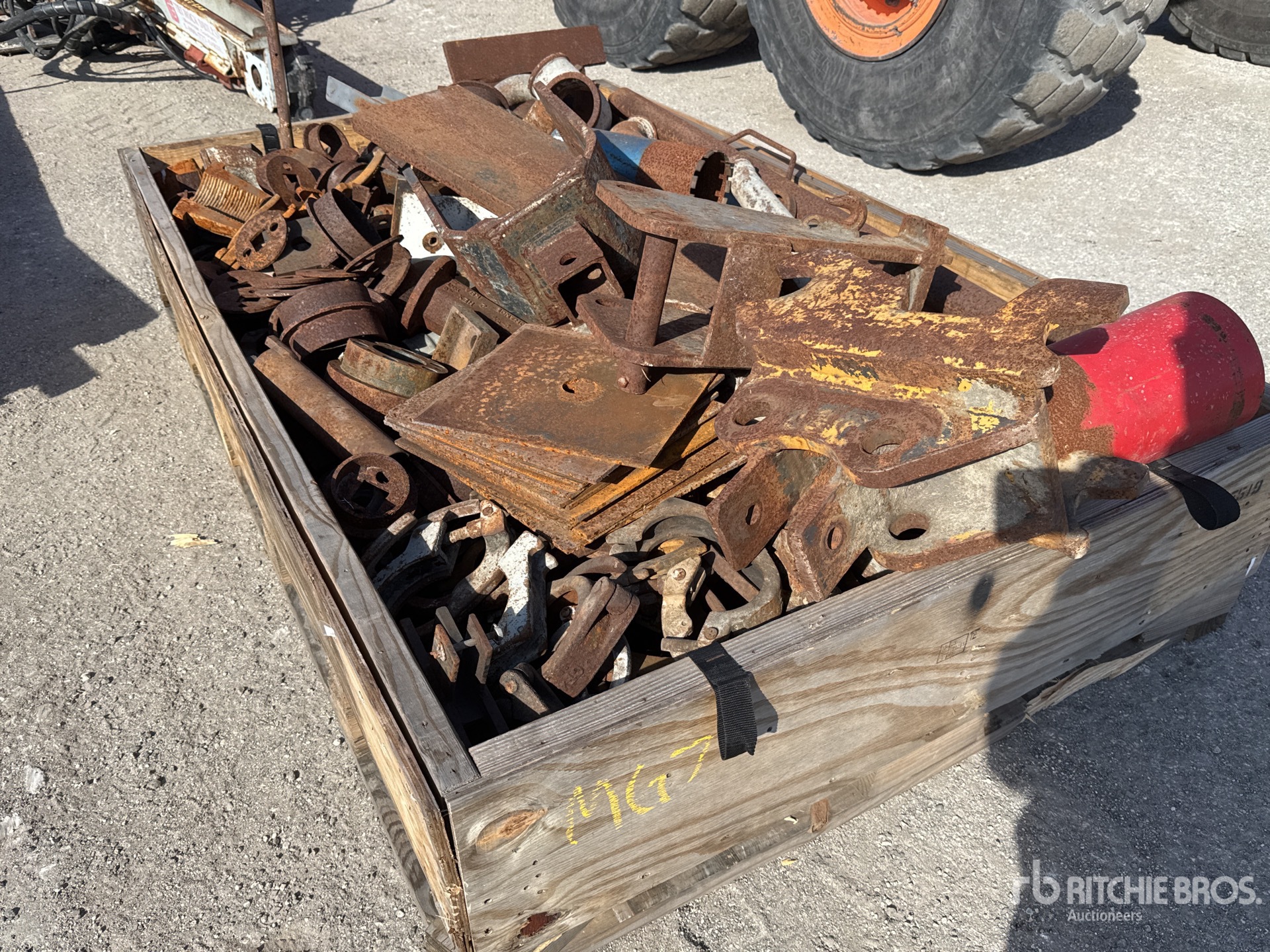 General Appearance with Zdjęcie, lewy dolny róg