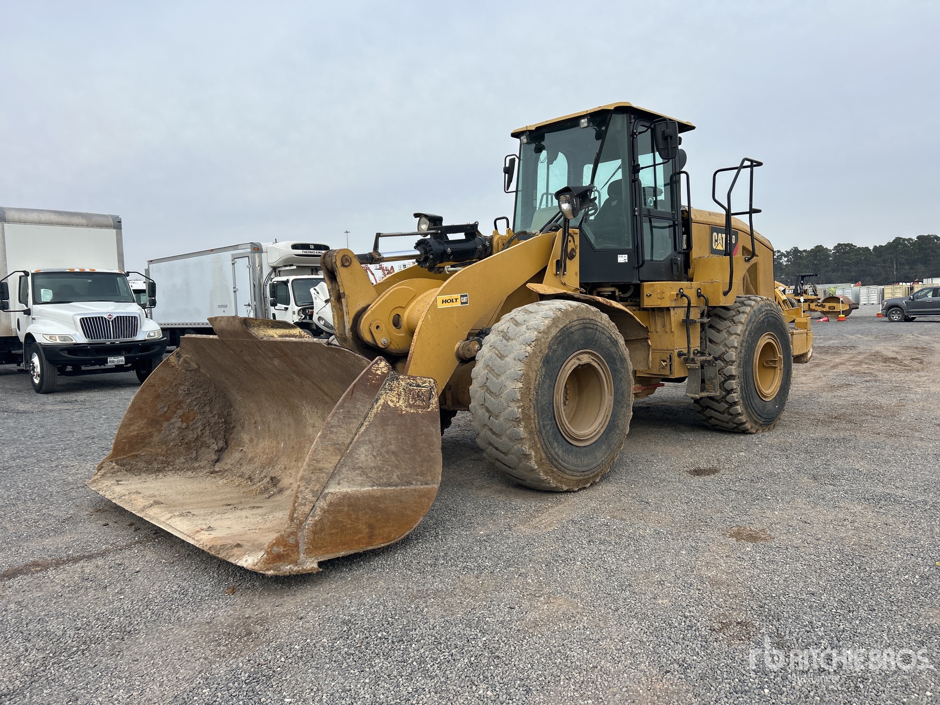 General Appearance with Spin