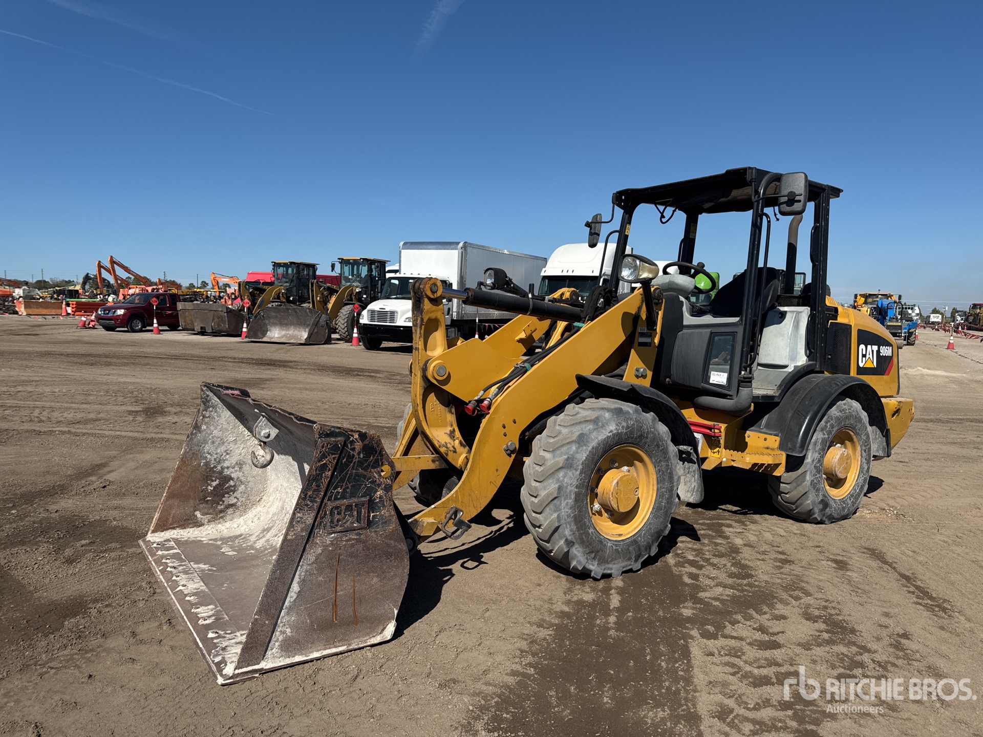 General Appearance with Spin