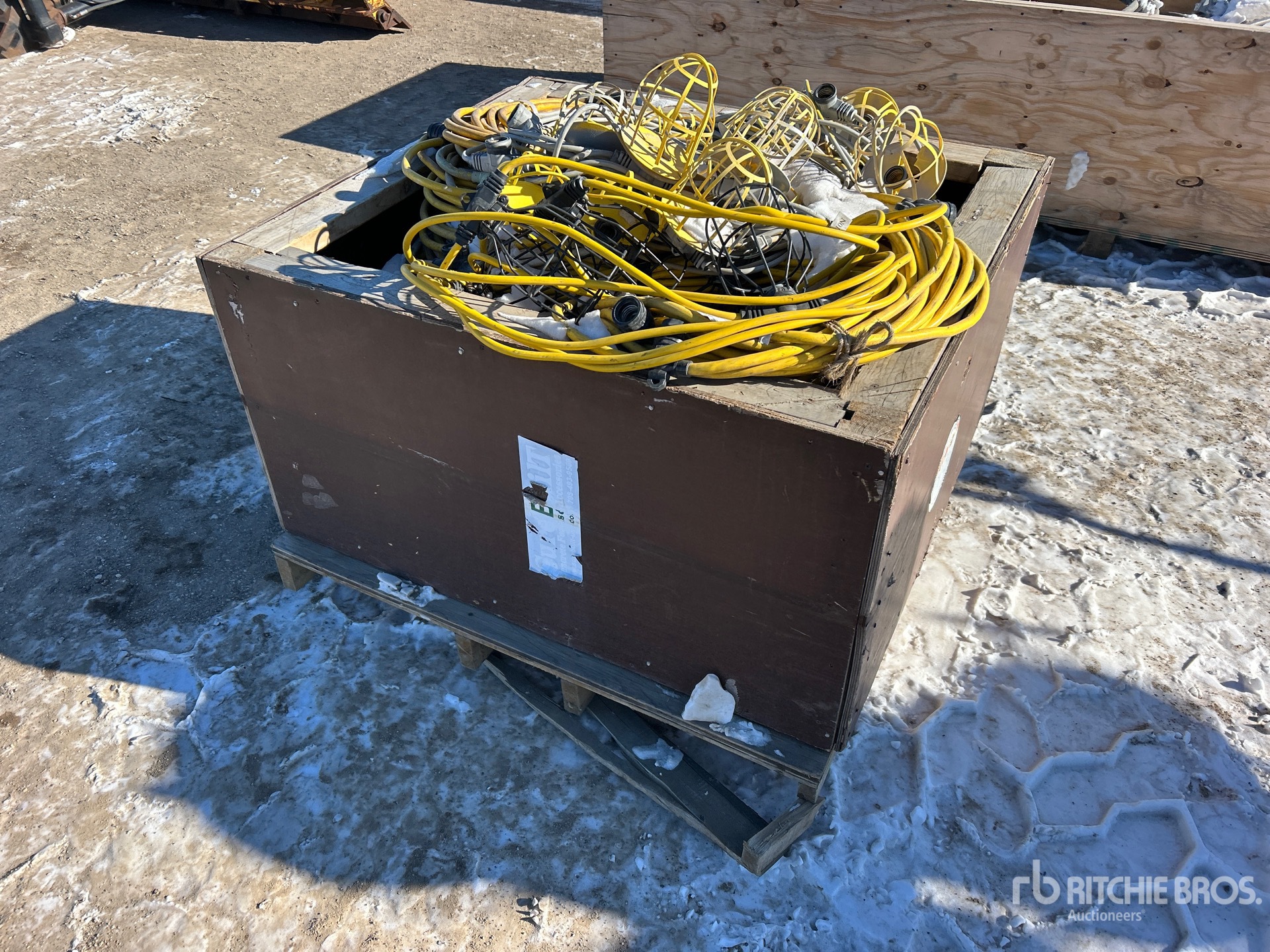 General Appearance with Image, coin arrière droit