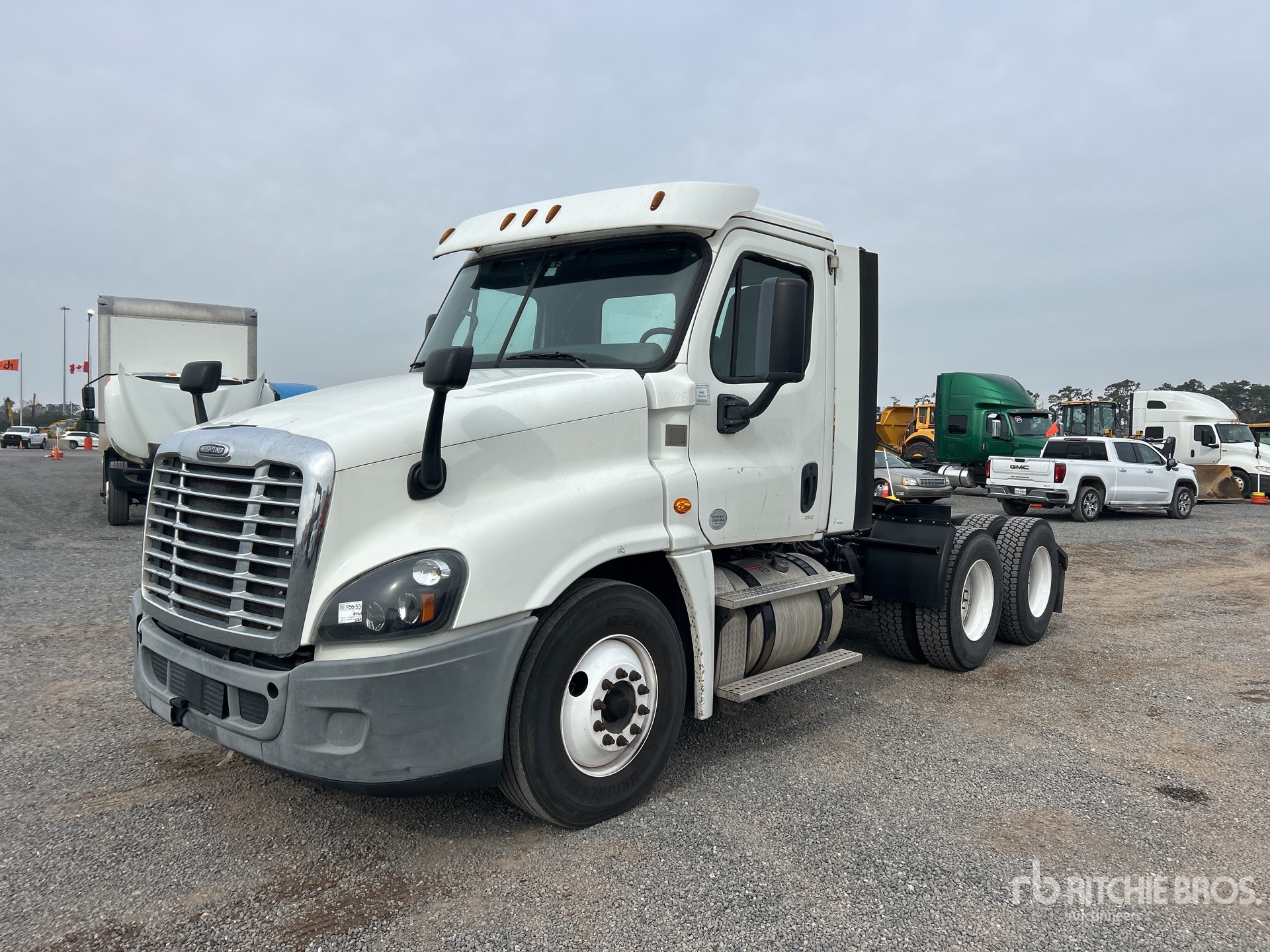 General Appearance with Spin