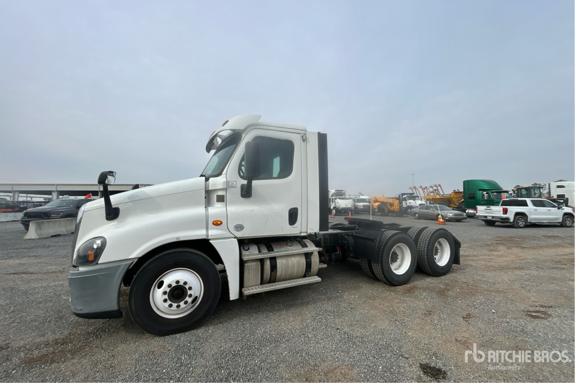 General Appearance with Spin