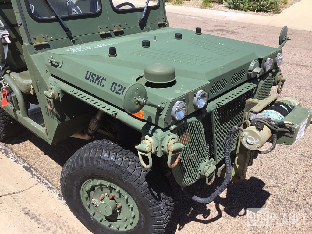 General Appearance with Paint
