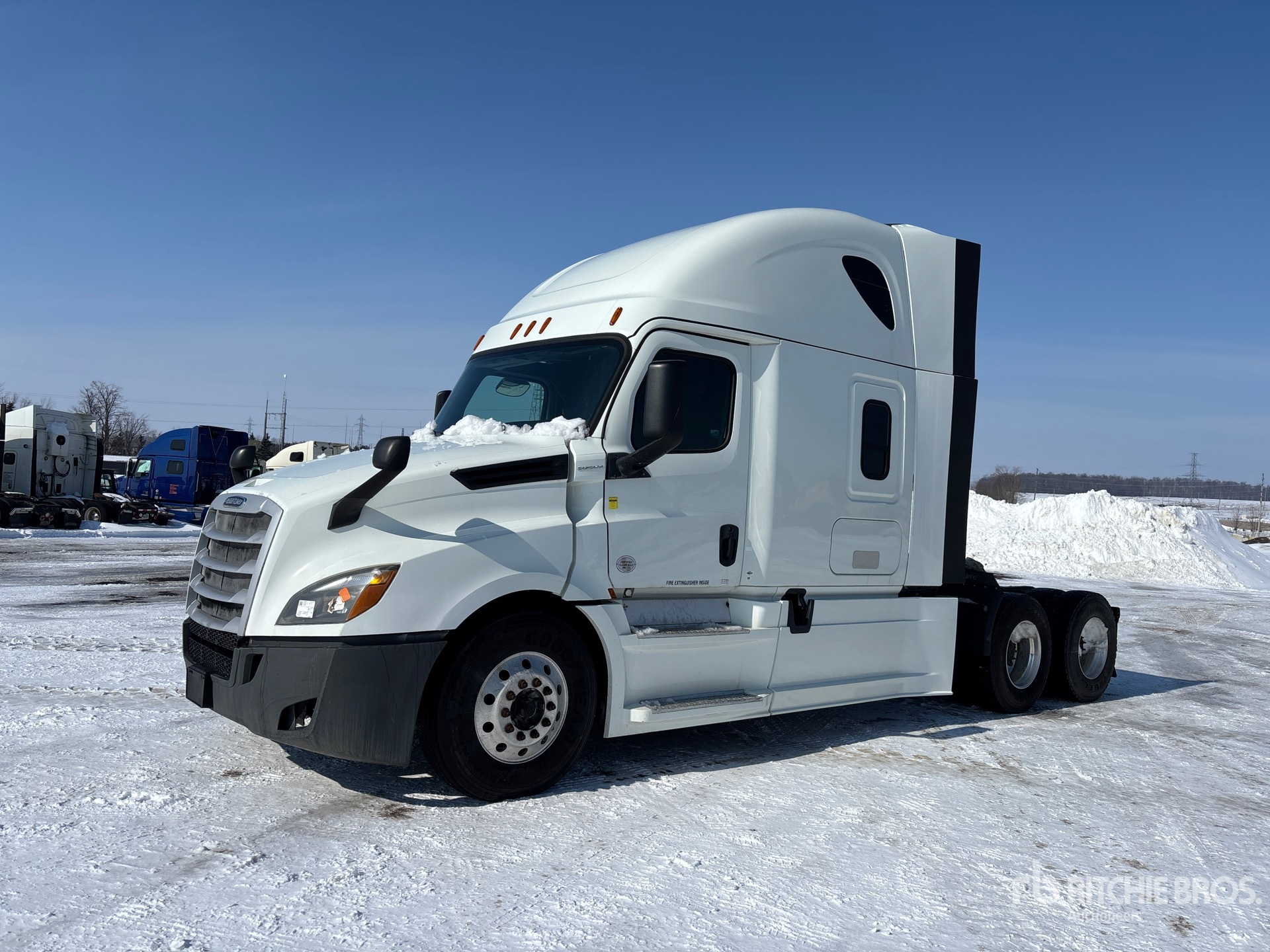 General Appearance with Spin