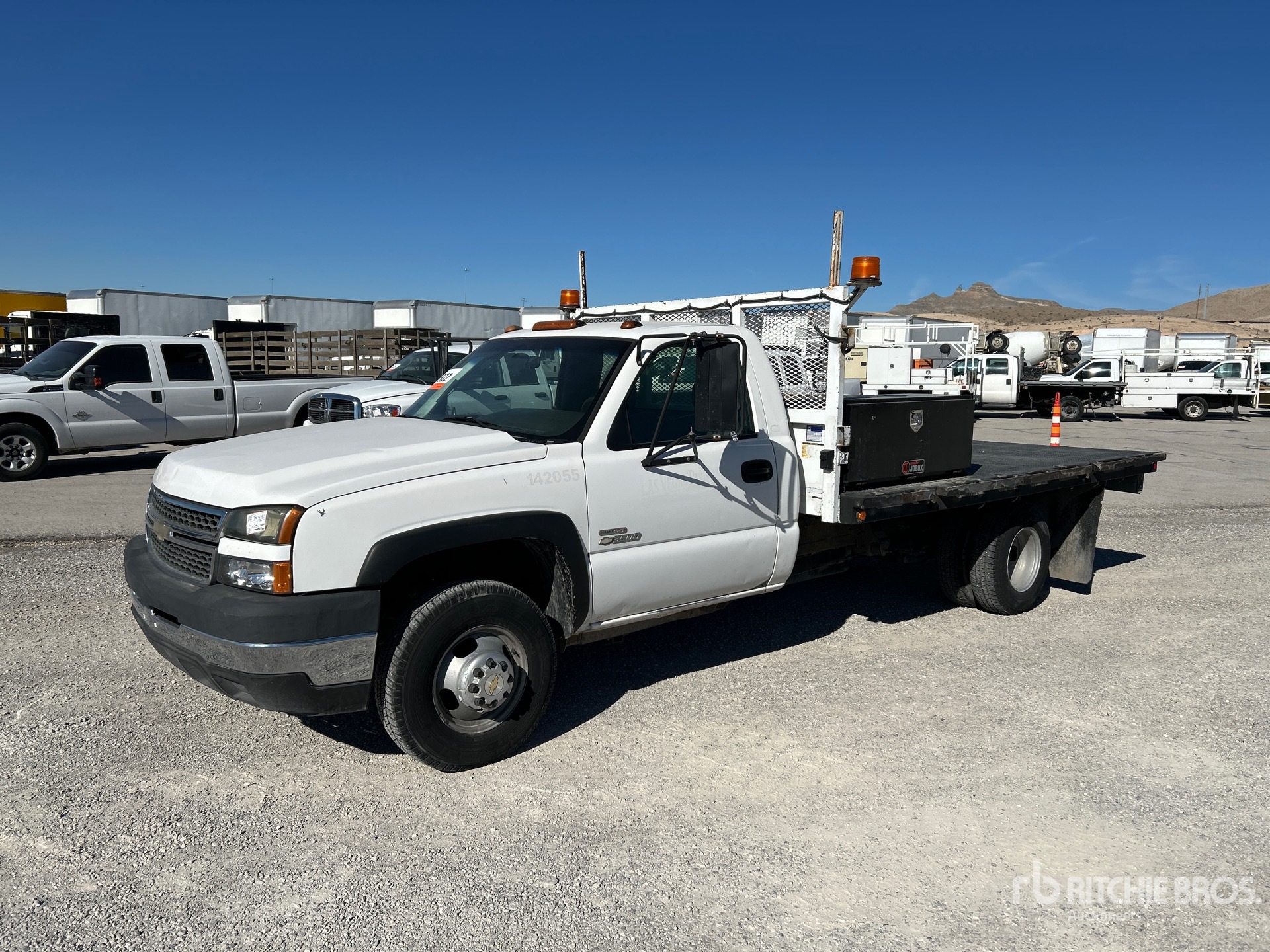 General Appearance with Spin