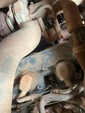 Motor with