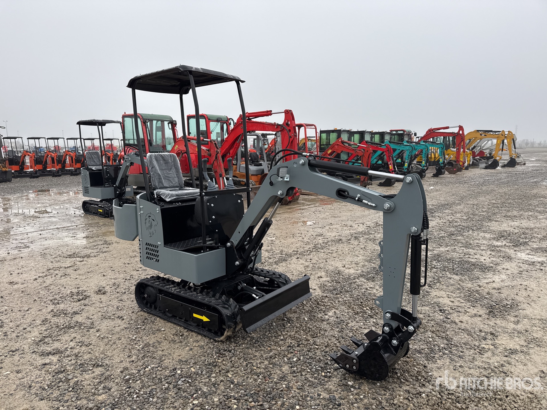 General Appearance with