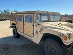 General Appearance with Paint