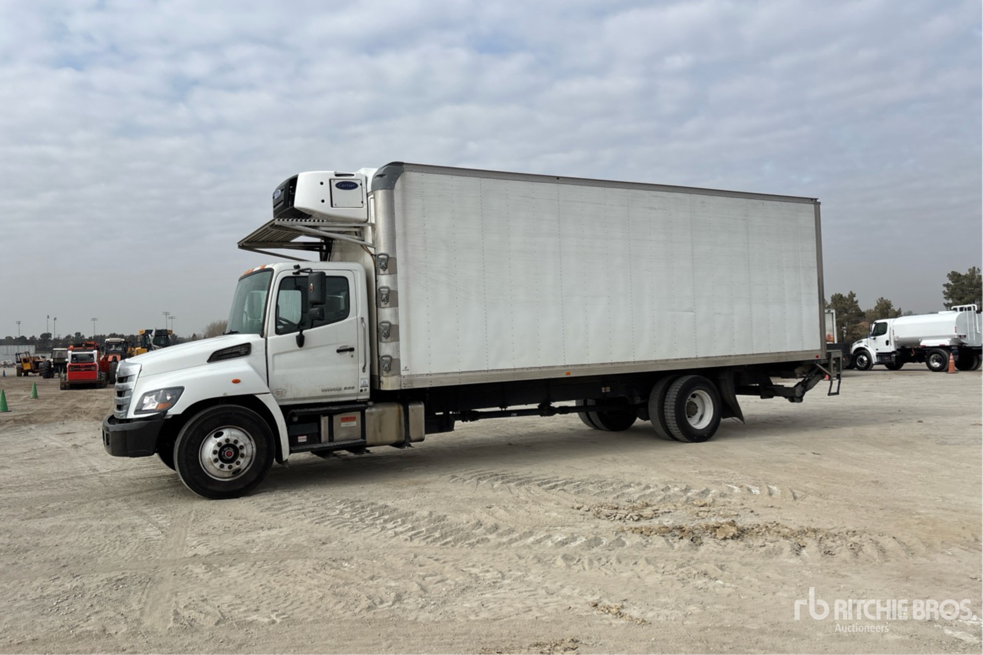 General Appearance with Spin