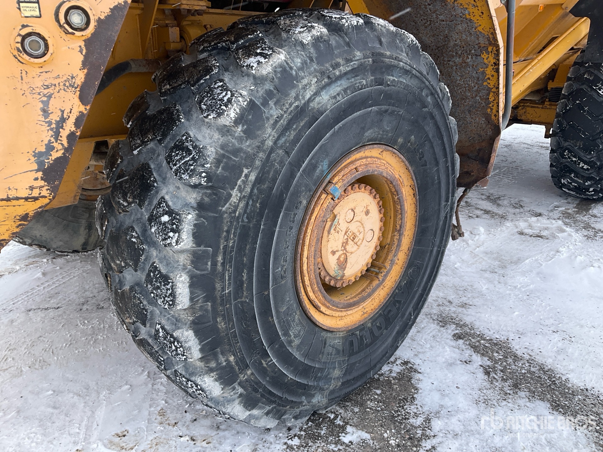 General Appearance with