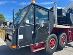 General Appearance with Paint