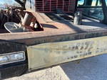 General Appearance with Paint