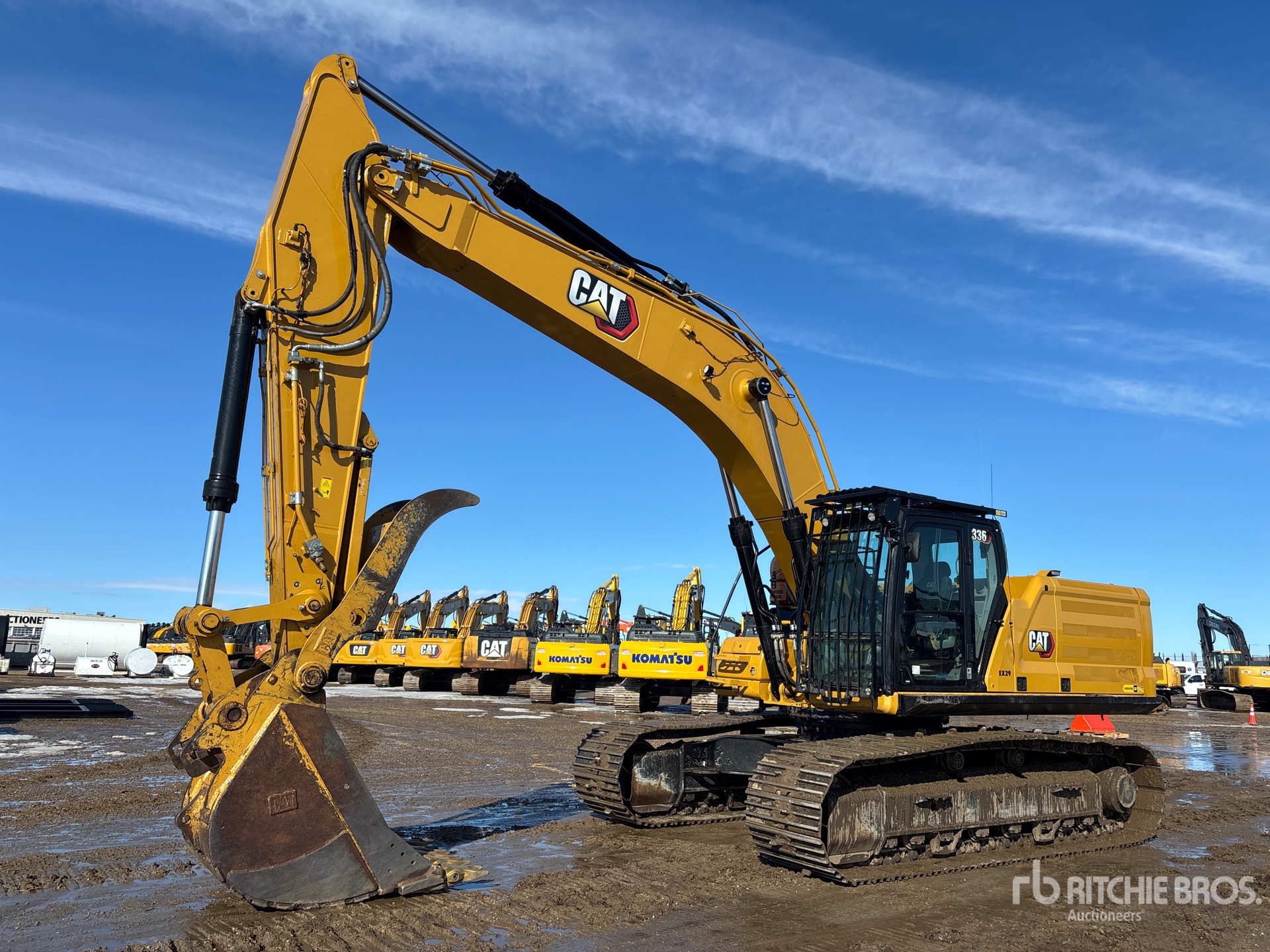 General Appearance with Spin