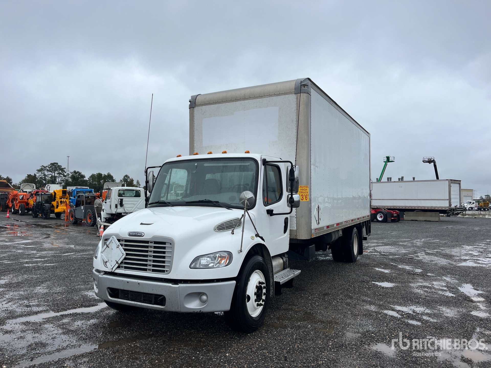 General Appearance with Spin