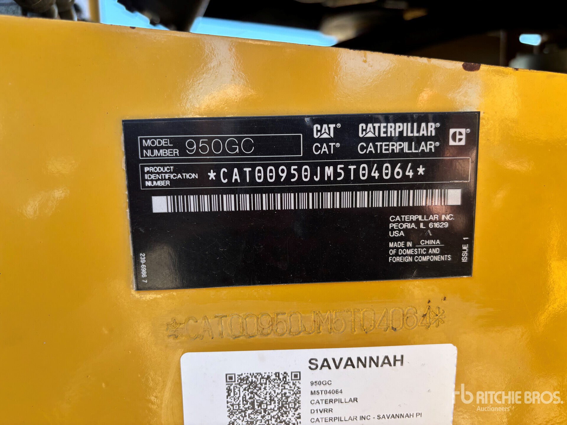 General Appearance with