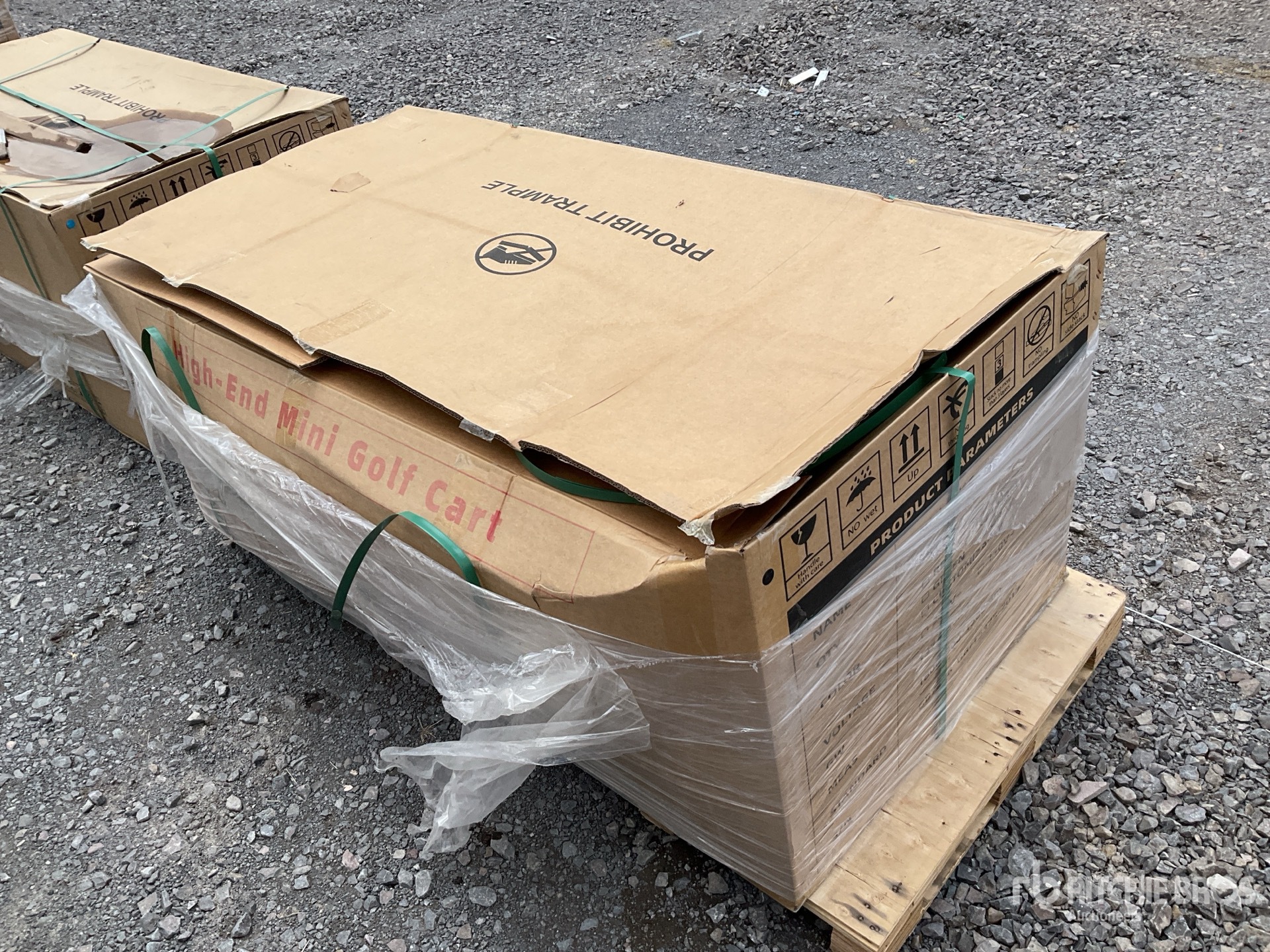 General Appearance with Image, coin arrière droit