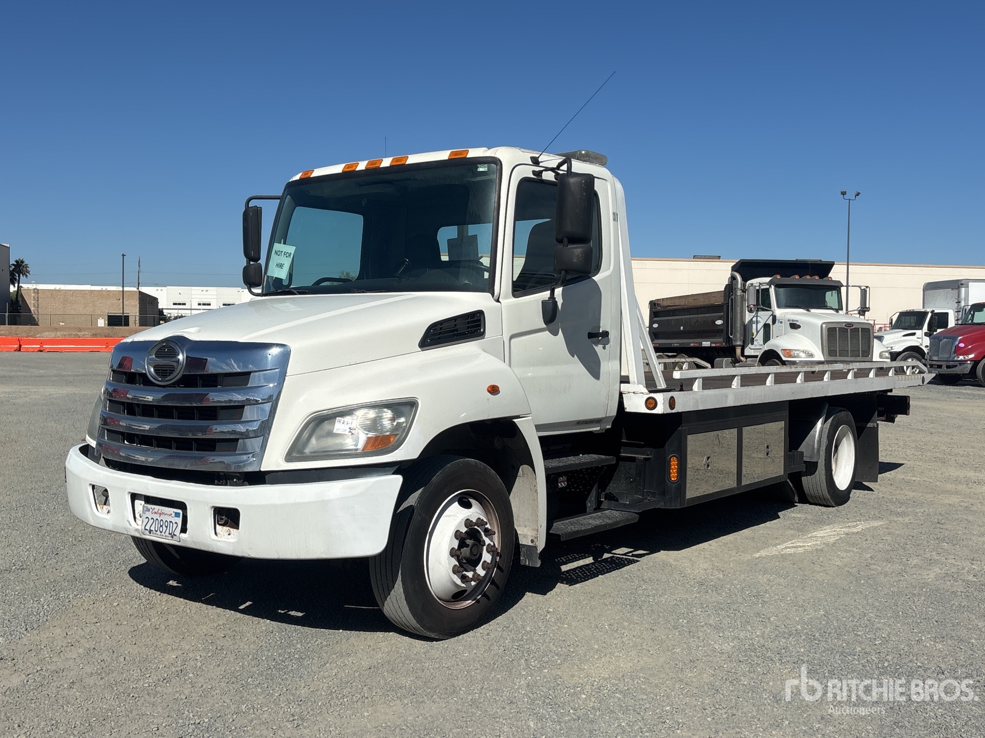 General Appearance with Spin