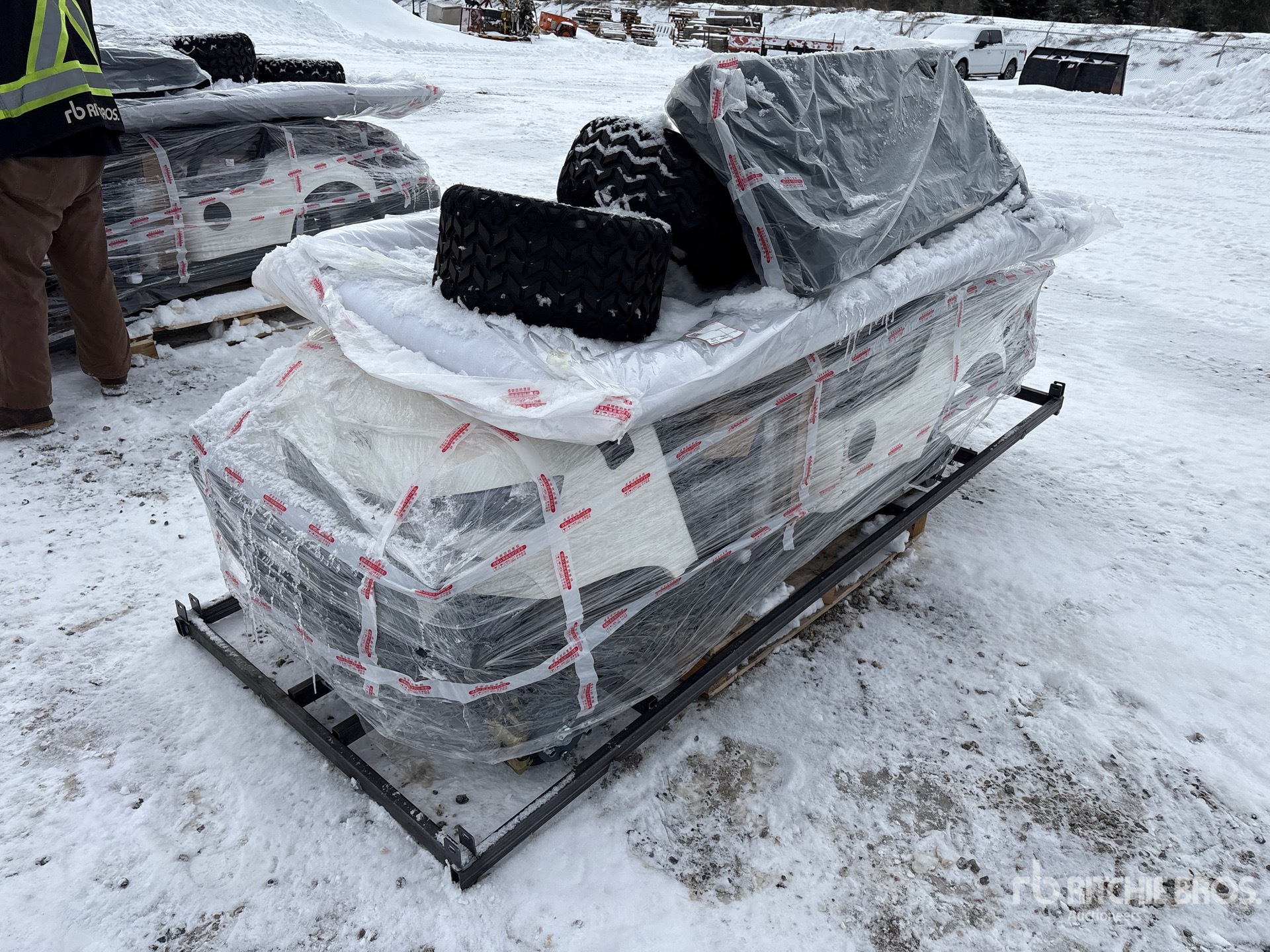 General Appearance with Bild, Ecke vorne links