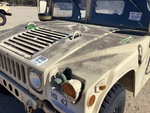 General Appearance with Paint