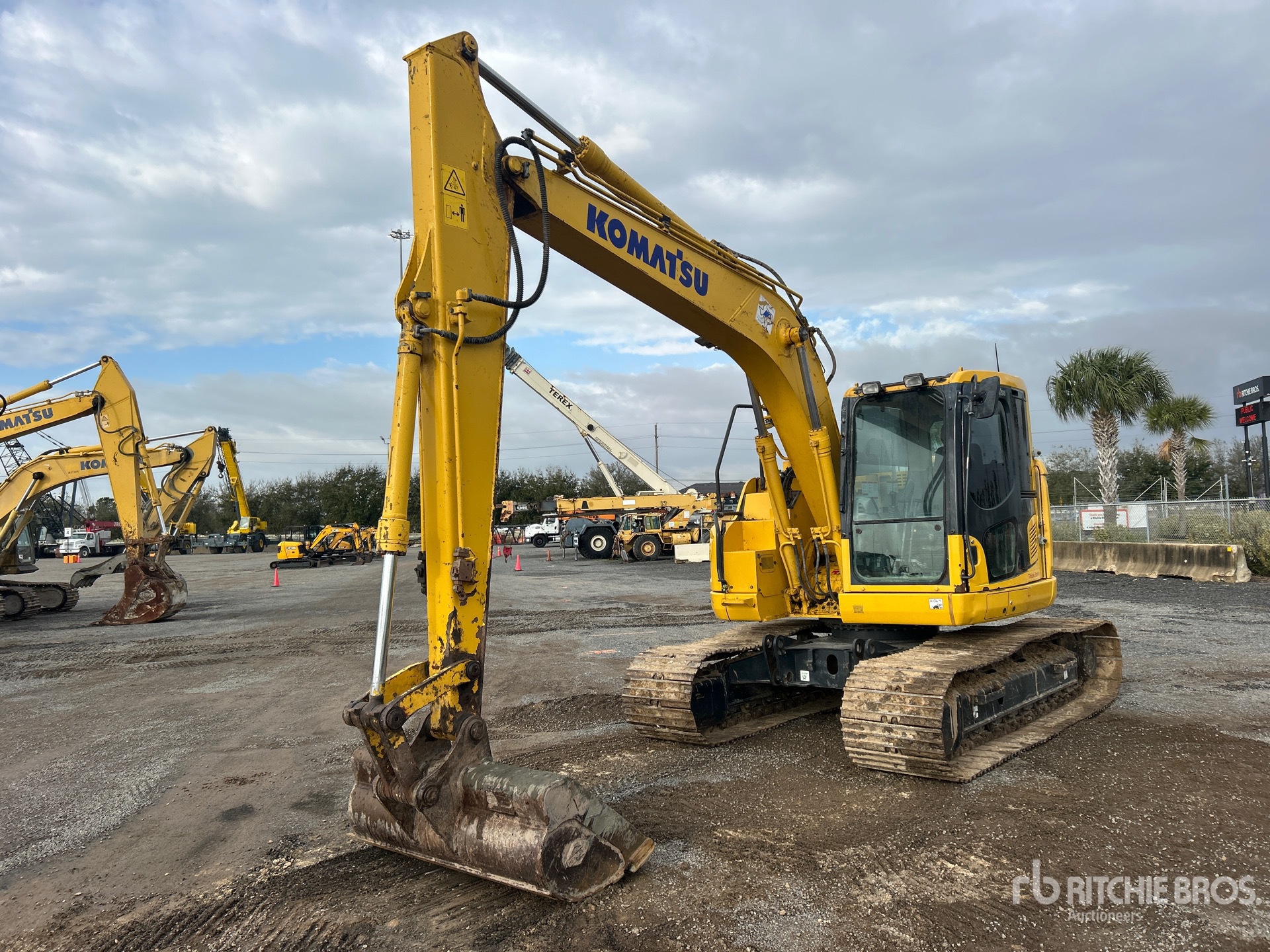 General Appearance with Spin