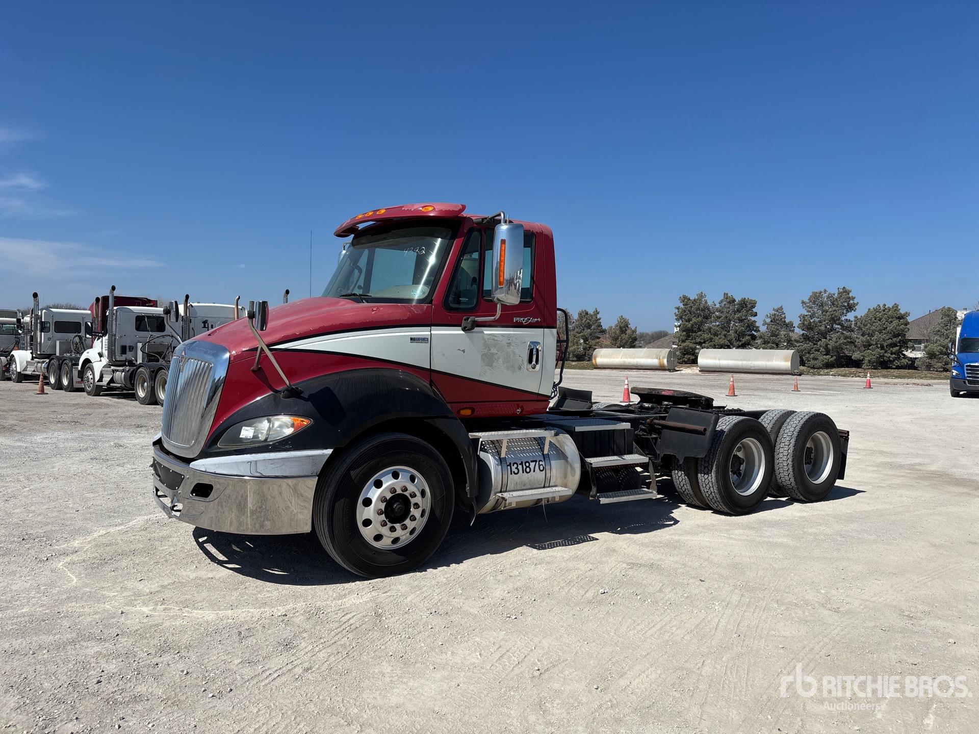 General Appearance with Spin