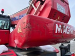General Appearance with Paint