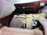 Engine with Exhaust System