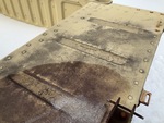 General Appearance with Paint