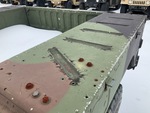 General Appearance with Paint