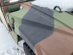 General Appearance with Paint