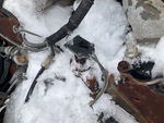 Engine with Oil Pump/Tach Drive (behind doghouse cover)