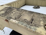 General Appearance with Paint