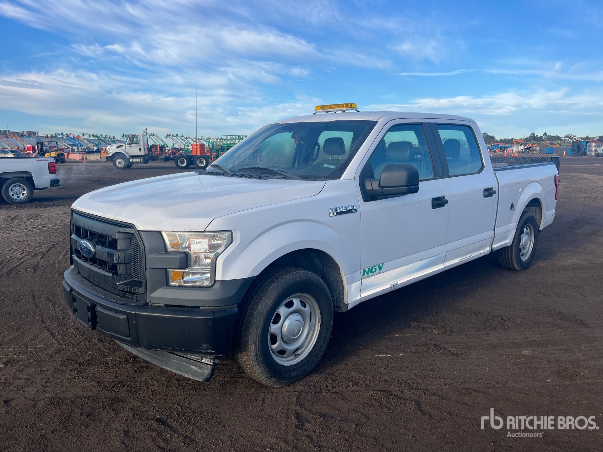 General Appearance with Spin