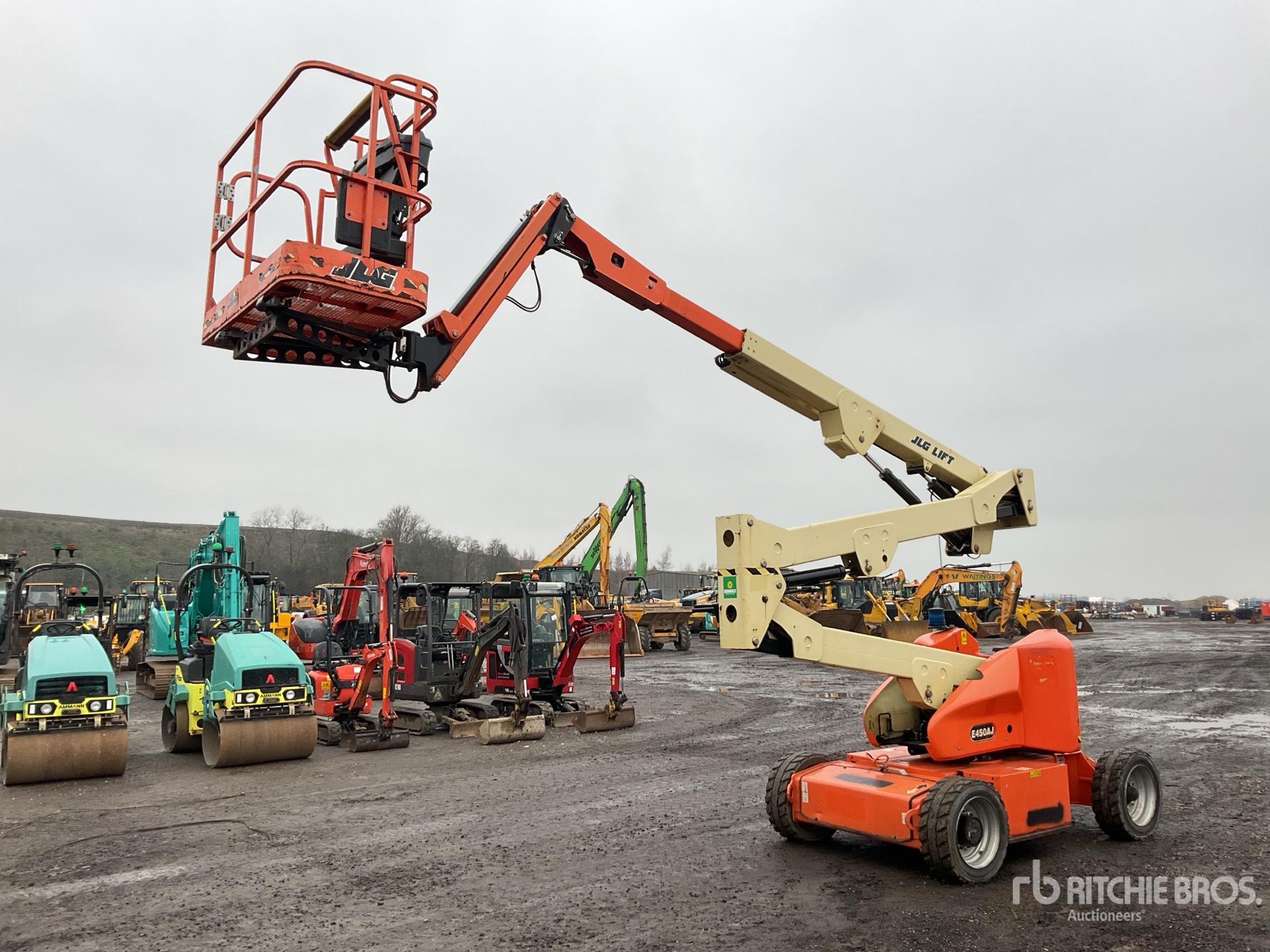 General Appearance with Featured Photo