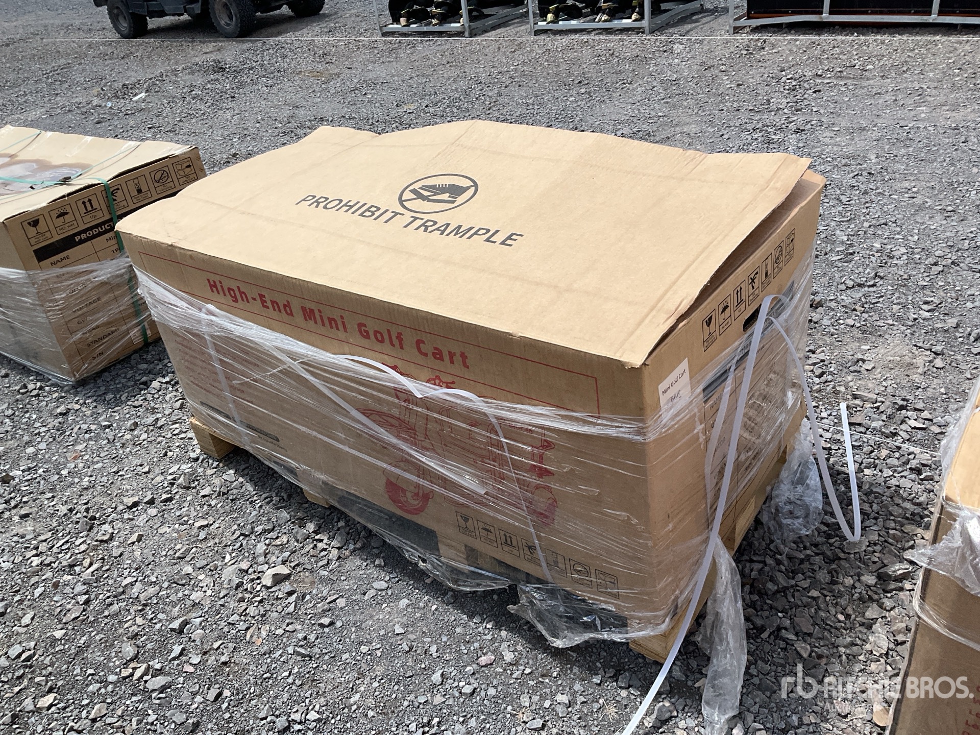 General Appearance with Image, coin arrière droit