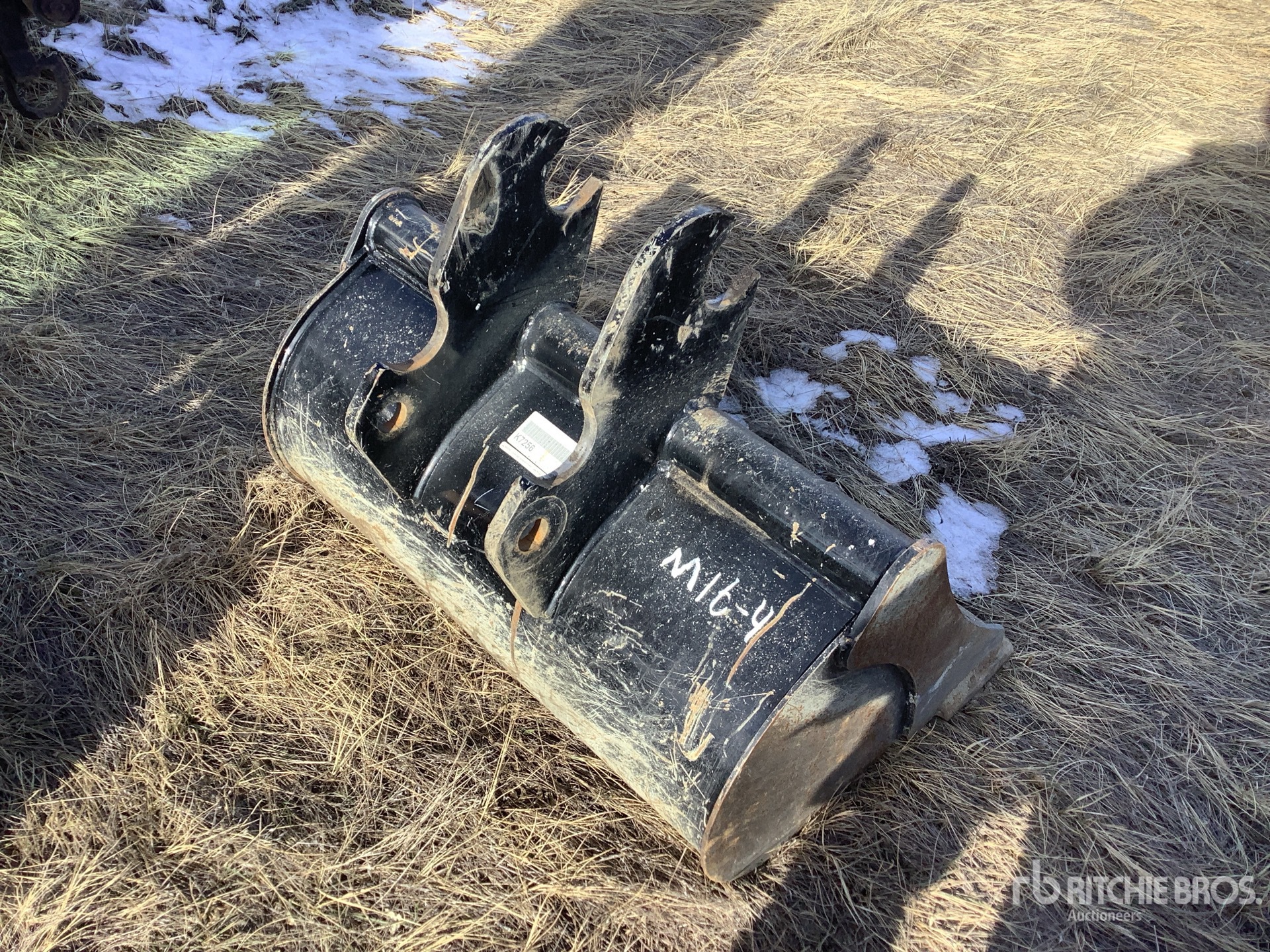 General Appearance with Image, coin arrière droit