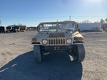 General Appearance with Paint