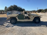General Appearance with Paint