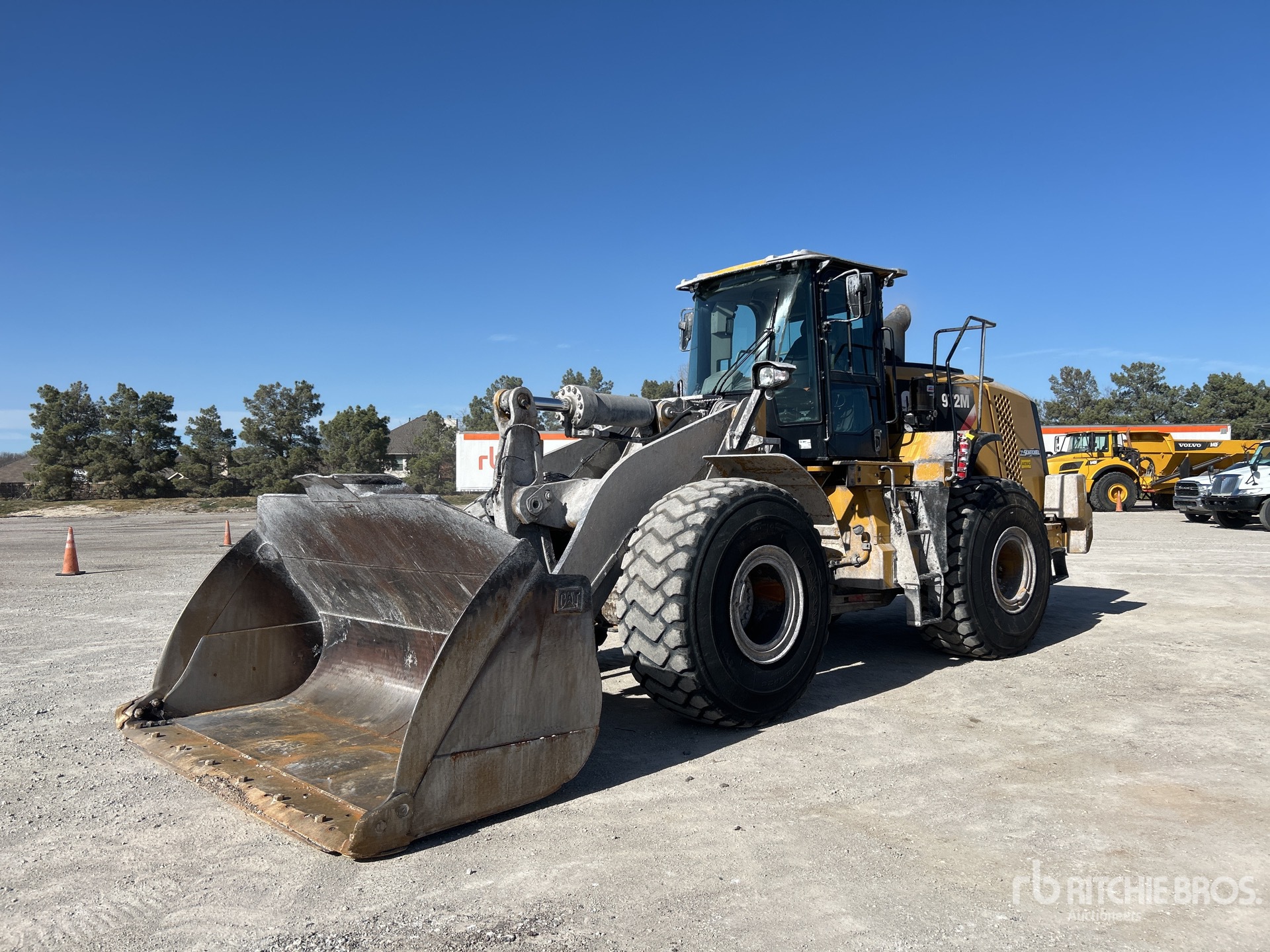 General Appearance with Spin