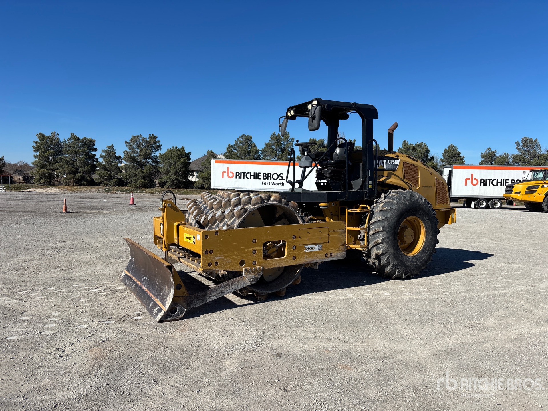 General Appearance with Spin