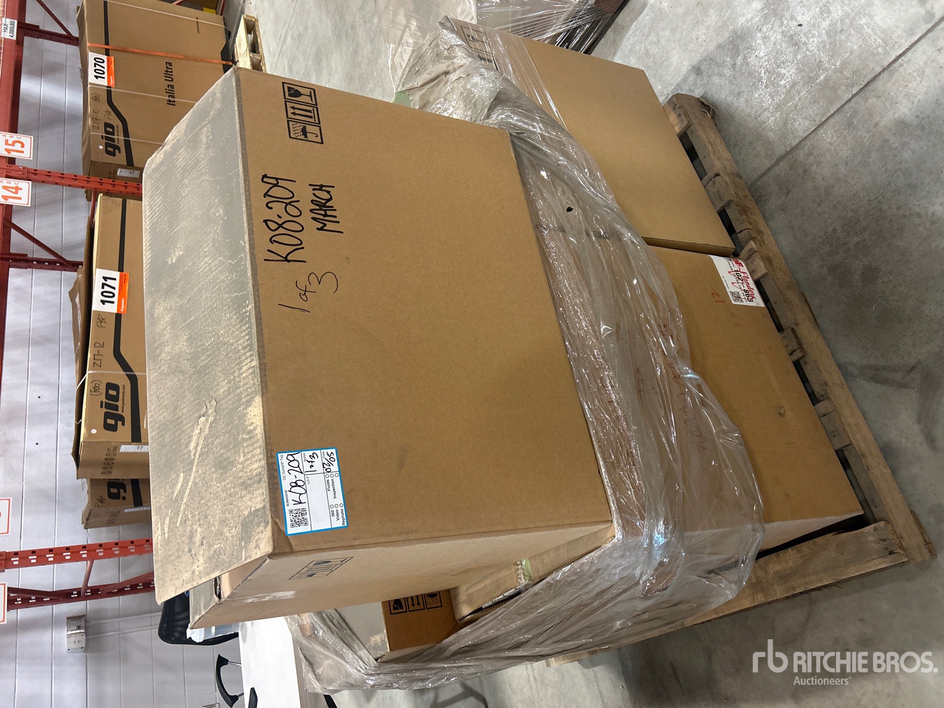 General Appearance with