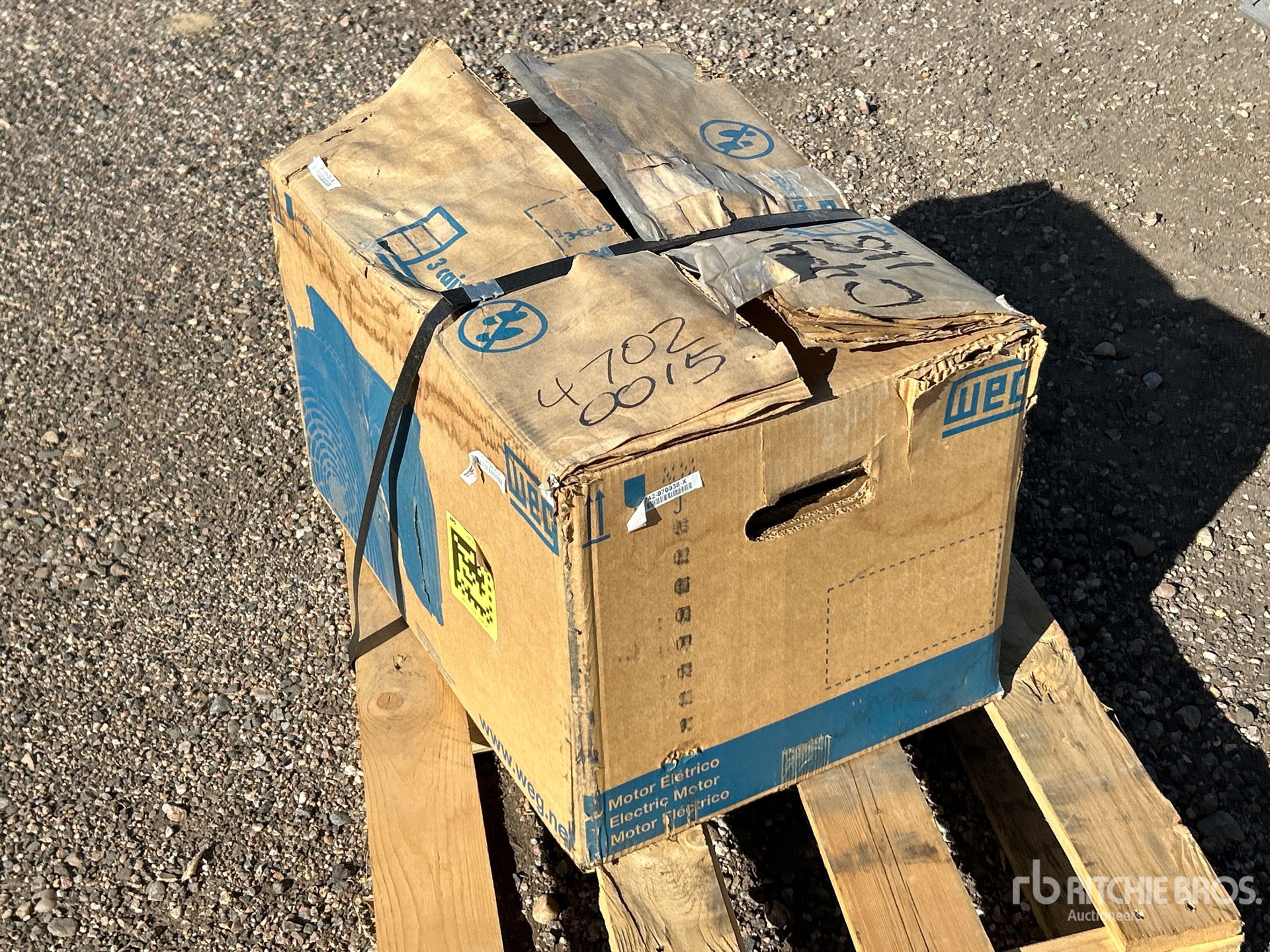 General Appearance with Image, coin arrière droit