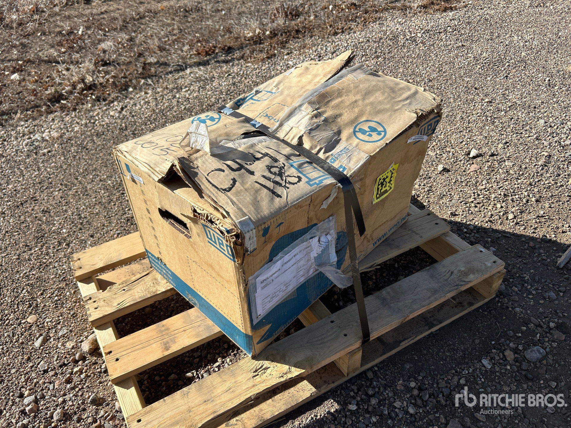 General Appearance with Image, coin avant droit