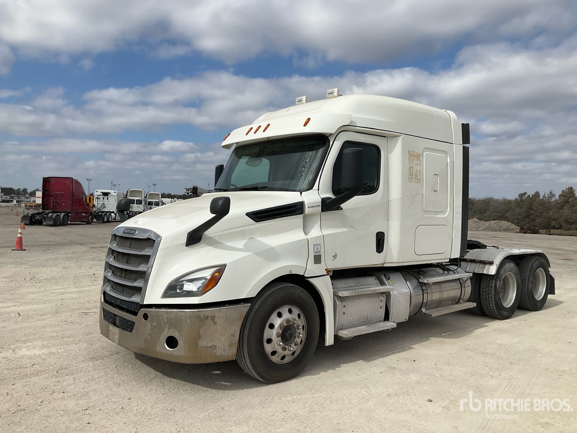 General Appearance with Spin