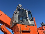 General Appearance with Paint