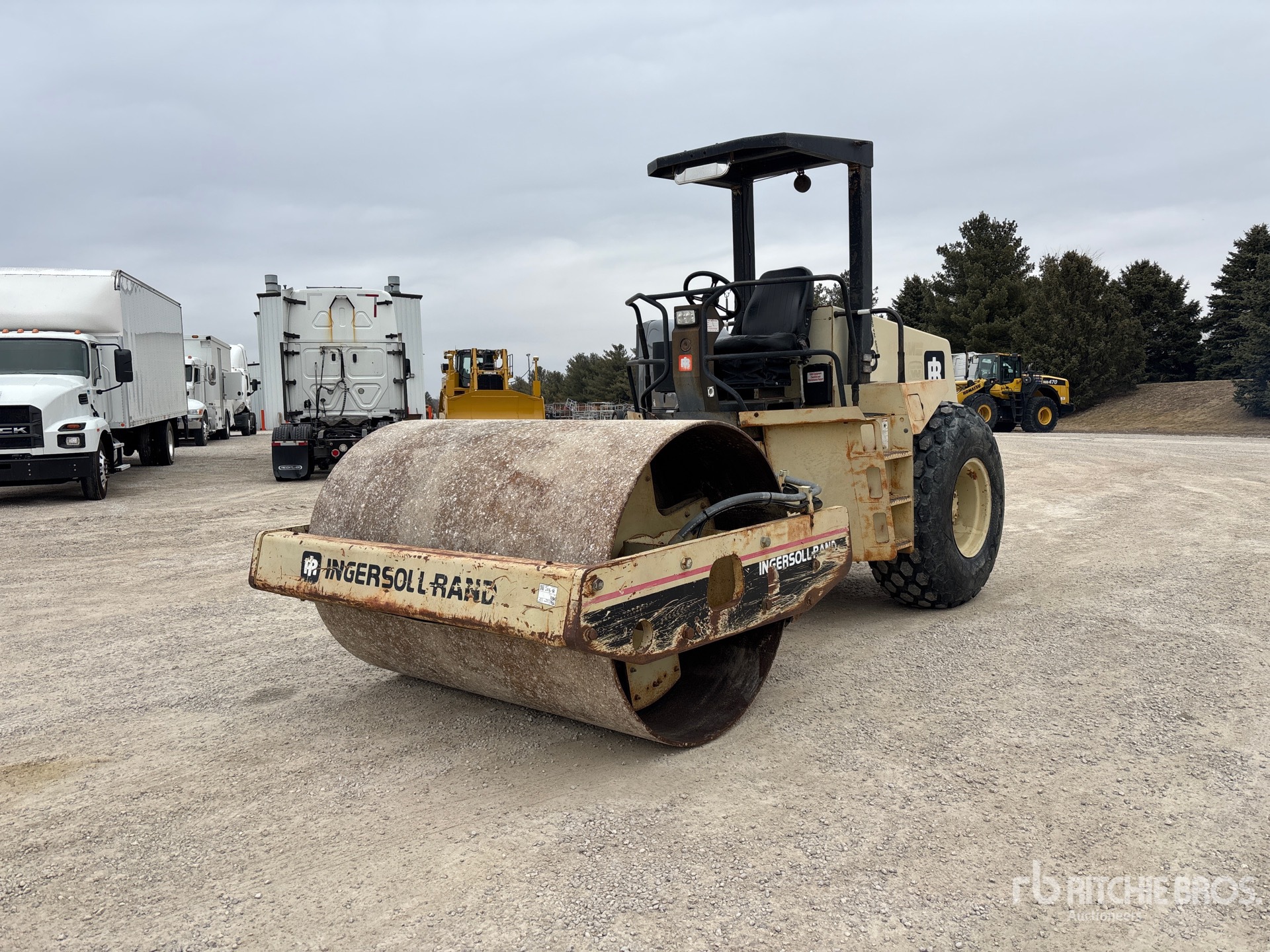 General Appearance with Spin