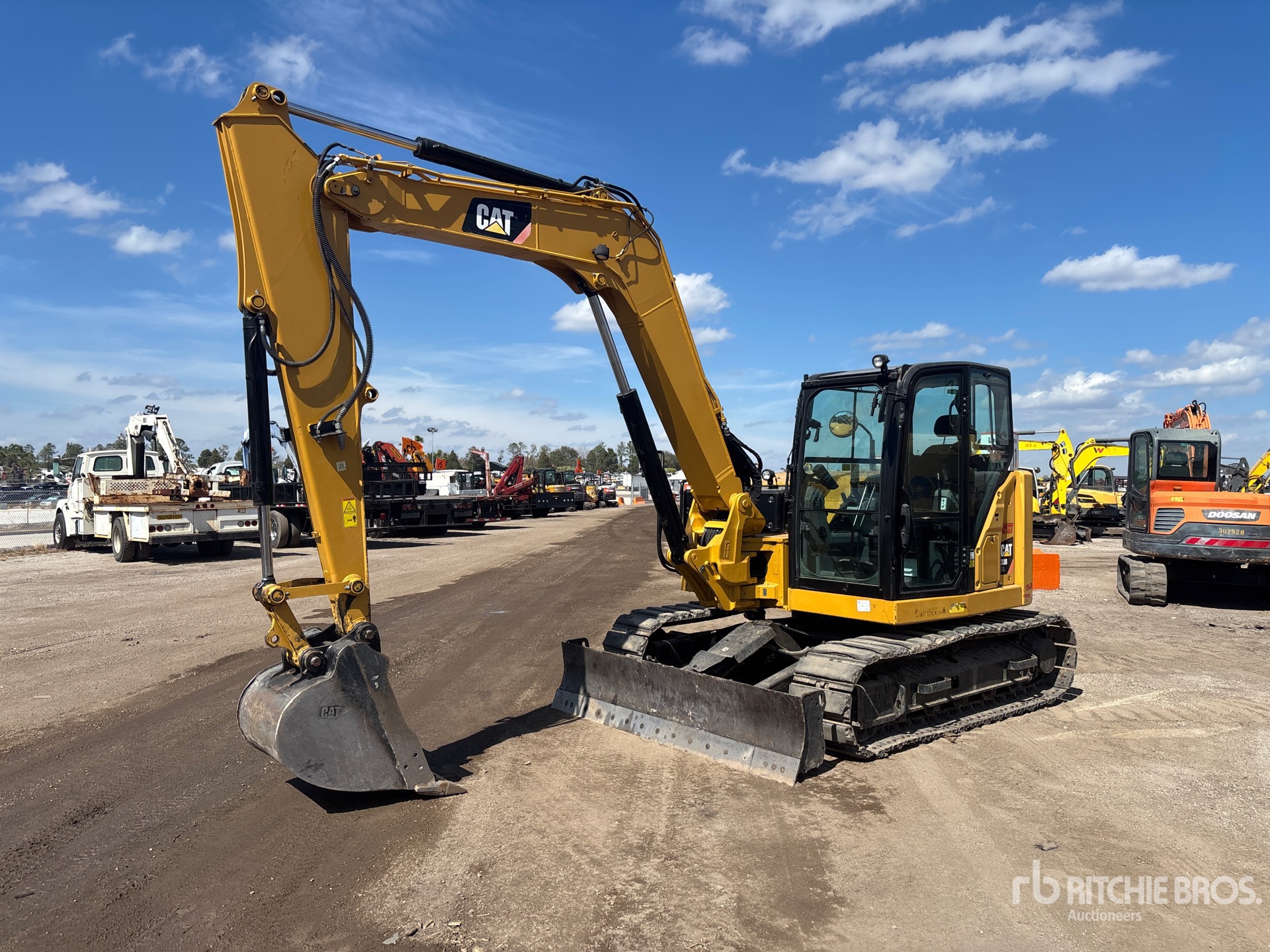 General Appearance with Spin