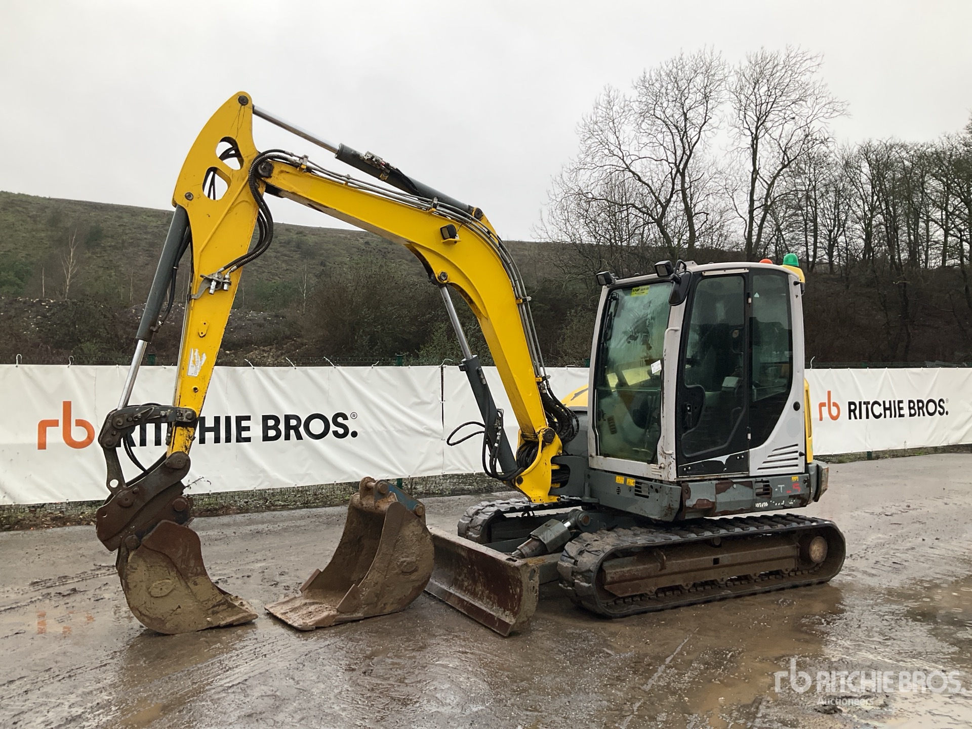 General Appearance with Bild, Ecke vorne links